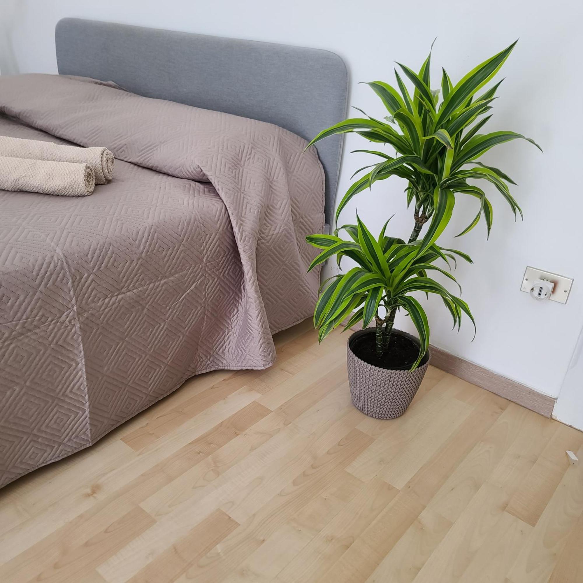 Mariamora Apartment Bari Dış mekan fotoğraf
