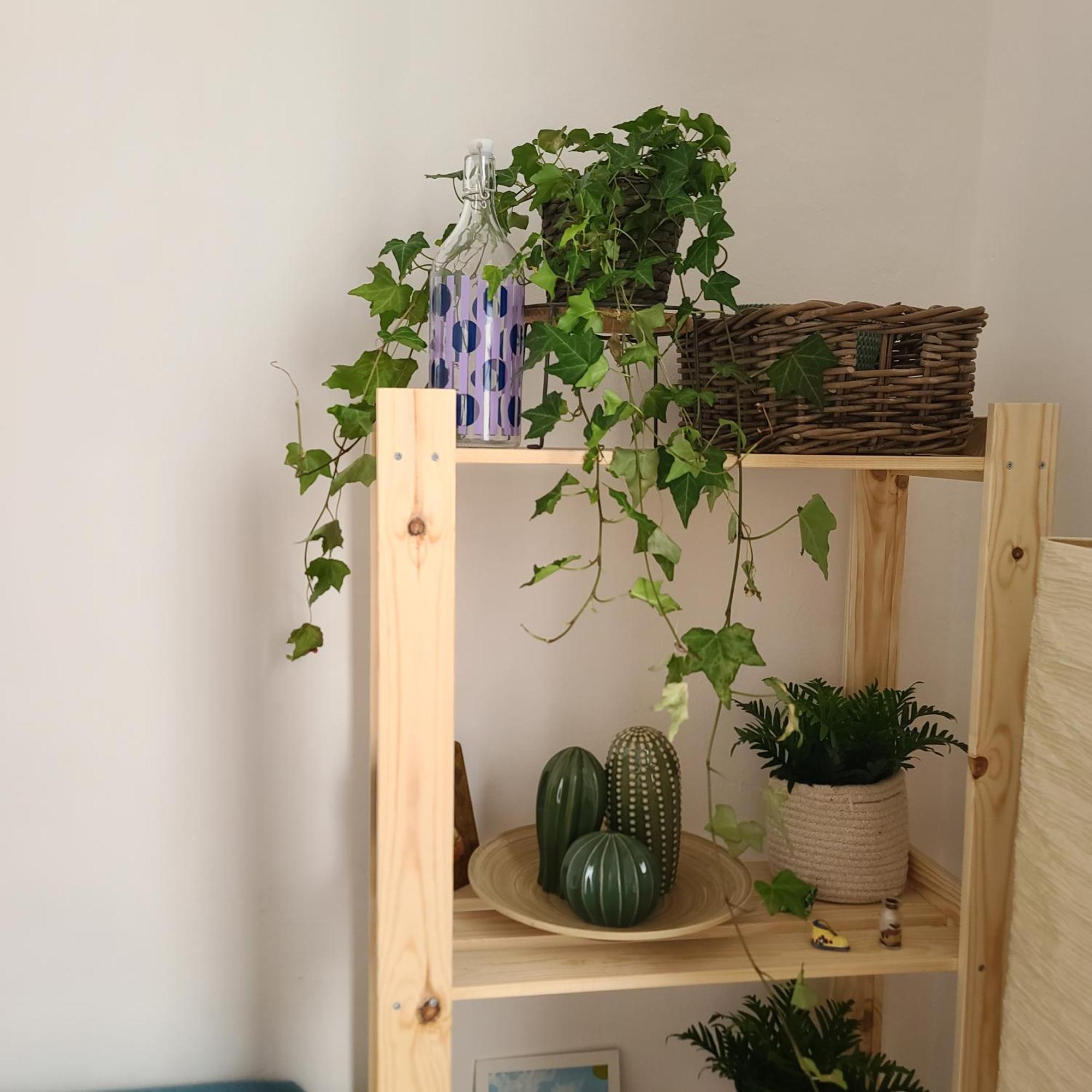 Mariamora Apartment Bari Dış mekan fotoğraf